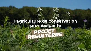 Miniature : Protection des cultures: l’agriculture de conservation promue par le projet Resulterre