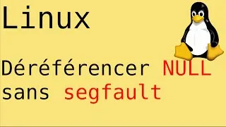 Miniature : Déréférencer NULL sans segfault
