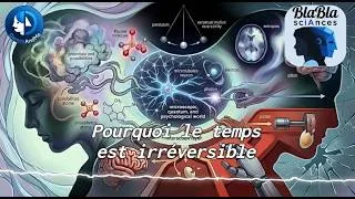 Miniature : Pourquoi le temps est irréversible | Gemini And Me | BlaBla scIAnces