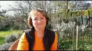 Miniature : Combien coûte la transition écologique ?