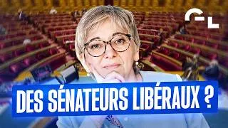 Miniature : La sénatrice Muriel Jourda nous répond