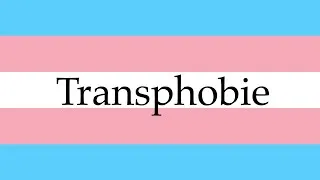 Miniature : Une agression Transphobe et ses conséquences