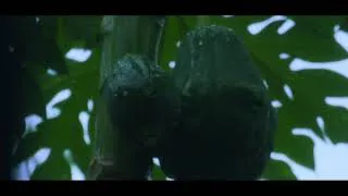 Miniature : PLUIE DILUVIENNE AU CONGO-BRAZZAVILLE (DANGER POUR UN CERTAIN TYPE DE POPULATION CONGOLAIS)