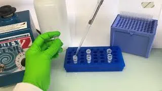 Miniature : Étape 5 clonage par PCR : Comment purifier les bandes découpées du vecteur et du produit de PCR