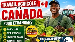 Miniature : Travail Agricole au Canada 🇨🇦 : Recrutement Ouvert + Formation Offerte à l’Arrivée !