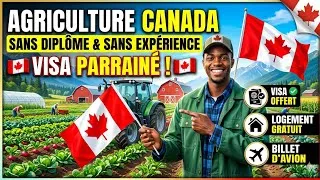 Miniature : URGENT 🚨 : Travail Agricole au Canada (Tout est Payé ! ✈️)