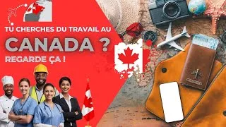 Miniature : 🔥 Trouver du travail au Canada 🇨🇦 : le site que personne ne te montre 😳👀