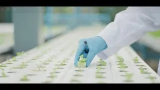 Miniature : Upscale Bio - Environmental impact