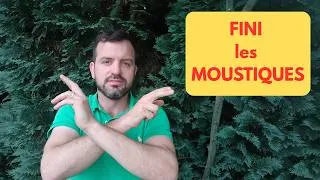 Miniature : Enfin une technique, (pas chère), contre les MOUSTIQUES