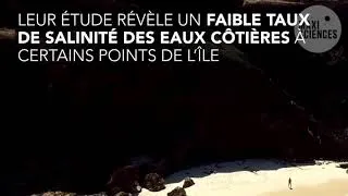 Miniature : Le mystère des statues de l'Île de Pâques serait-il enfin résolu ?