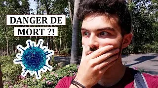Miniature : CORONAVIRUS : la vérité sur sa dangerosité
