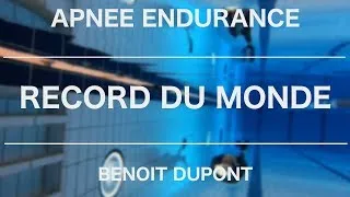 Miniature : APNEE ENDURANCE - Record du monde 2018 - Benoit Dupont