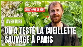 Miniature : 🌱 LES SECRETS DE LA CUEILLETTE URBAINE : Comment se régaler en pleine ville ! 🌿