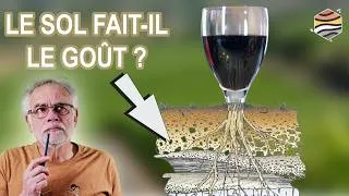 Miniature : Géologie, climat, vigneron : qui fait vraiment le goût du vin ?