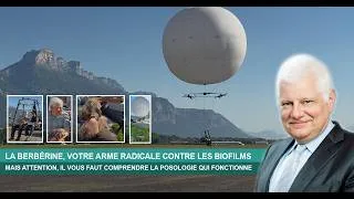 Miniature : LA BERBÉRINE, VOTRE ARME RADICALE CONTRE LES BIOFILMS