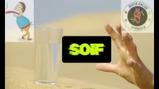 Miniature : Pourquoi tu as SOIF ?