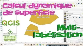Miniature : Calcul dynamique de superficie et Labélisation multiple dans QGIS