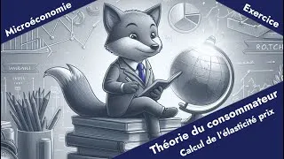 Miniature : [Microéconomie] - Théorie du consommateur - Calculer une élasticité prix de la demande [Exercice]