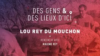 Miniature : WEBSERIE - Maxime Rey, « le roi du cochon » laineux du Gers