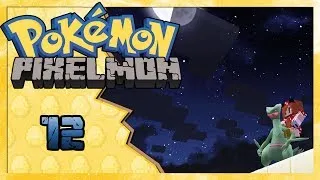 Miniature : [FR] Les Chroniques de Pixelmon | Chapitre 12