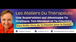 Miniature : SUPERVISION EN LIGNE  LA SOLUTION #1 POUR LES GESTAT-THERAPEUTES & LES GESTALT-PRATICIENS :DEBUTANTS
