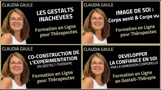 Miniature : GESTALT: 4 FORMATIONS INDISPENSABLES EN GESTALT-THERAPIE POUR LES GESTALT-THERAPEUTES ET PRATICIENS.
