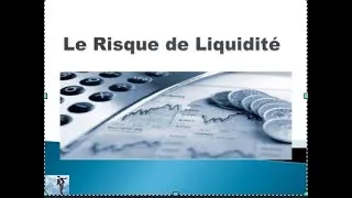 Miniature : Le Risque de Liquidité