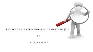 Miniature : Soldes intermédiaires de gestion et analyse du résultat