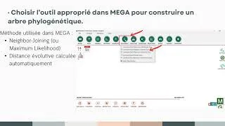 Miniature : WORKSHOP 6: Phylogenetic Tree Construction (Tool: MEGA)