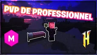 Miniature : [FR] PVP DE PROFESSIONNEL