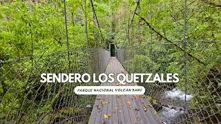 Miniature : Sendero Los Quetzales, Parque Nacional Volcán Barú. Chiriquí, Panamá