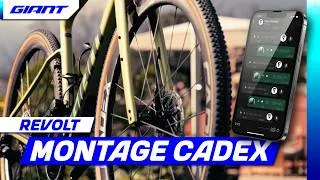 Miniature : BikeCheck - Le Vélo Gravel Giant Revolt au montage full CADEX de Sylvain Chavanel