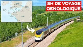 Miniature : Le Train du Vin: La Méga Liaison Bordeaux-Londres