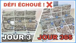 Miniature : J'ai essayé de nourrir mes fourmis 365 jours de suite... j'ai échoué