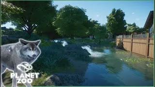 Miniature : LOUP GRIS | PLANET ZOO #7