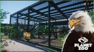Miniature : RAPACES, CHOUETTES, HIBOUX ... | PLANET ZOO #5