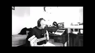 Miniature : Riposte Populaire - Porcherie 2024 - [Bass Cover]
