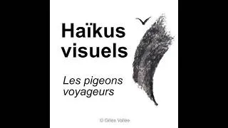Miniature : Haïkus visuels — Poésie minimaliste | Les pigeons voyageurs