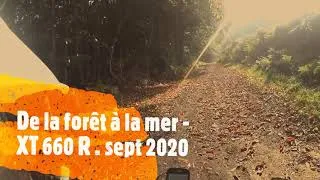 Miniature : De la forêt à la mer - XT 660 R - sept 2020