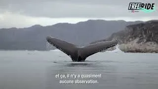 Miniature : NANOK EXPEDITION : un projet engagé pour la science ! L'Université de Liège participe à l'aventure