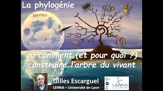 Miniature : La Phylogénie, ou comment (et pour quoi) construire l'arbre du vivant ?
