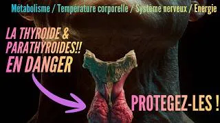 Miniature : 👉 THYROÏDE : La Glande Qui Contrôle Ton Énergie , Ton Métabolisme… et Ton Corps Entier ! 💯💥