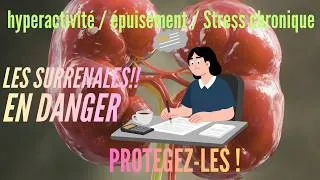Miniature : 👉Glandes Surrénales !💥 Le Système Caché Qui Contrôle Ton Stress, Ton Énergie… et Ta Survie!!! 🙈🙉🙊