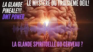 Miniature : 💫Glande Pinéale : 🔐 la Glande la Plus Mystérieuse du Cerveau Humain : Le Mystère du Troisième Œil👁️