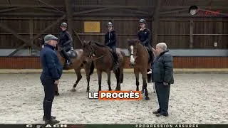 Miniature : Remerciements Jean Paul Musette sélectionneur Belge 1989-1997
