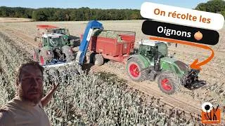 Miniature : On récolte les oignons et on casse la nouvelle machine !