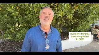 Miniature : Retour sur la journée de cohésion Total GIMS 2025 par Humberto Miranda, Directeur Général du GIMS
