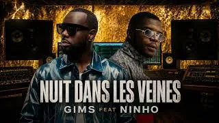 Miniature : GIMS feat. Ninho – Nuit Dans Les Veines