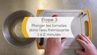 Miniature : Monder tomate