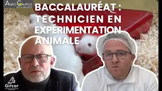 Miniature : Agro Campus des 2 Vallées - La formation Technicien en expérimentation animale